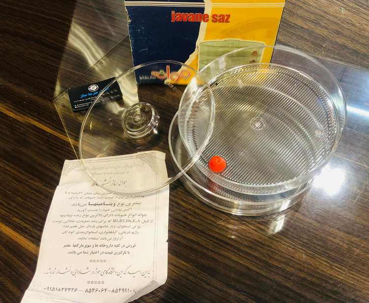 جوتنه ساز نشاط احمدی